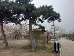 -长春市南湖公园