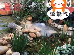 -菌林天下·野生菌汤锅
