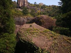 -玉苍山国家森林公园