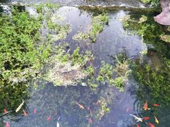 -水磨沟公园