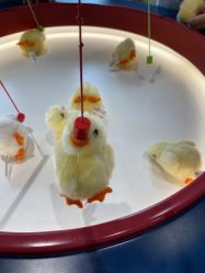 点击看大图 -奈尔宝·儿童乐园·亲子餐厅(华采天地店)