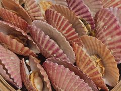 -山海菜馆·海肠捞饭·青岛菜(栈桥店)