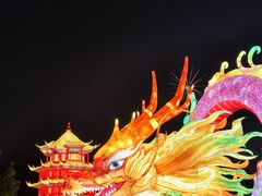 -武汉园博园(武汉自然博物馆)