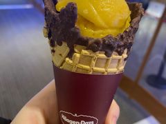 -哈根达斯(合肥万科广场店)