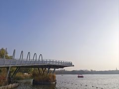 -大兴滨河森林公园