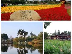 -海珠湖公园