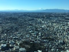 -横滨地标大厦