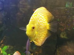 -重庆欢乐海底世界