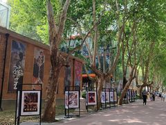 -西安电影制片厂