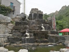 -大岭沟猕猴桃谷风景区