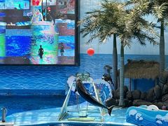-海合安成都极地海洋公园