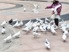 -中粮·祥云小镇
