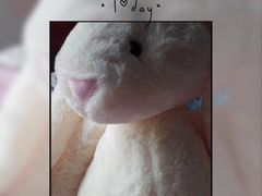 -PAWTOY爪e玩偶店(天兴罗斯福店)