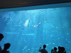 -南昌融创海世界