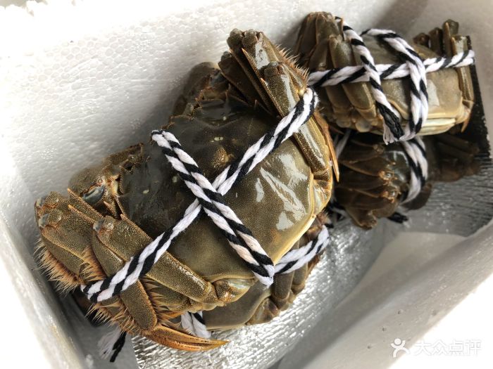 山水蟹庄·阳澄湖农家乐-阳澄湖大闸蟹-菜-阳澄湖大闸蟹图片-昆山美食