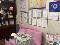 -宠爱国际动物医院·疑难骨科·心肾内科·皮肤科(太阳宫店)