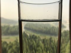 -深圳富临大酒店