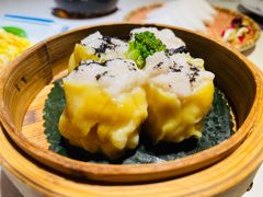 -点都德·毕德寮