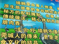 -凌舍好烧鹅(中山路店)