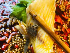 美蛙罗非鱼-小门坎三合鱼(总店)