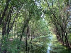 -长白岛森林公园