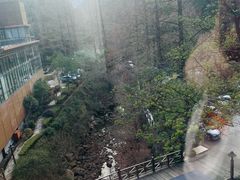 -宁海森林温泉