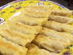 -七菜馆·东北菜·蒸饺(文体路店)