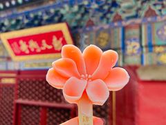 -潭柘寺景区