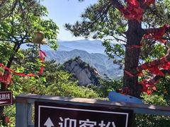 -六里坪国家森林公园