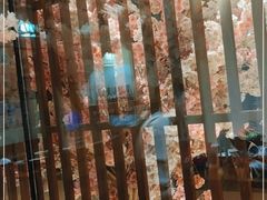 -三月居酒屋(青年大街店)