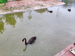 -琅岐红光湖公园