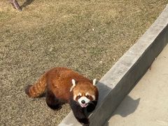 -水上乐园·欢乐世界