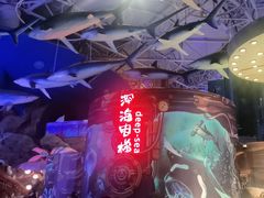 -烟台海昌鲸鲨海洋公园