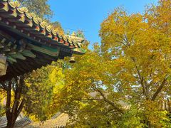 -潭柘寺景区