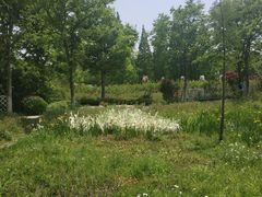 -昆山城市生态森林公园