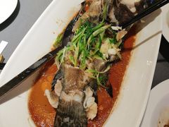 清蒸石斑鱼-徐记海鲜·宴会(大唐西市|丰庆店)