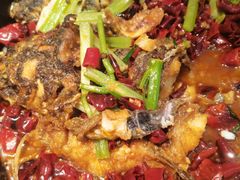 -老板恋上鱼(印象城店)