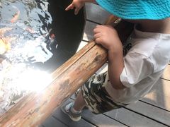-上海大自然野生昆虫馆(东方明珠·爬宠昆虫探索中心)