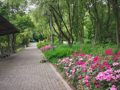 -西湖风景区-江洋畈生态公园