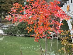 -大兴滨河森林公园