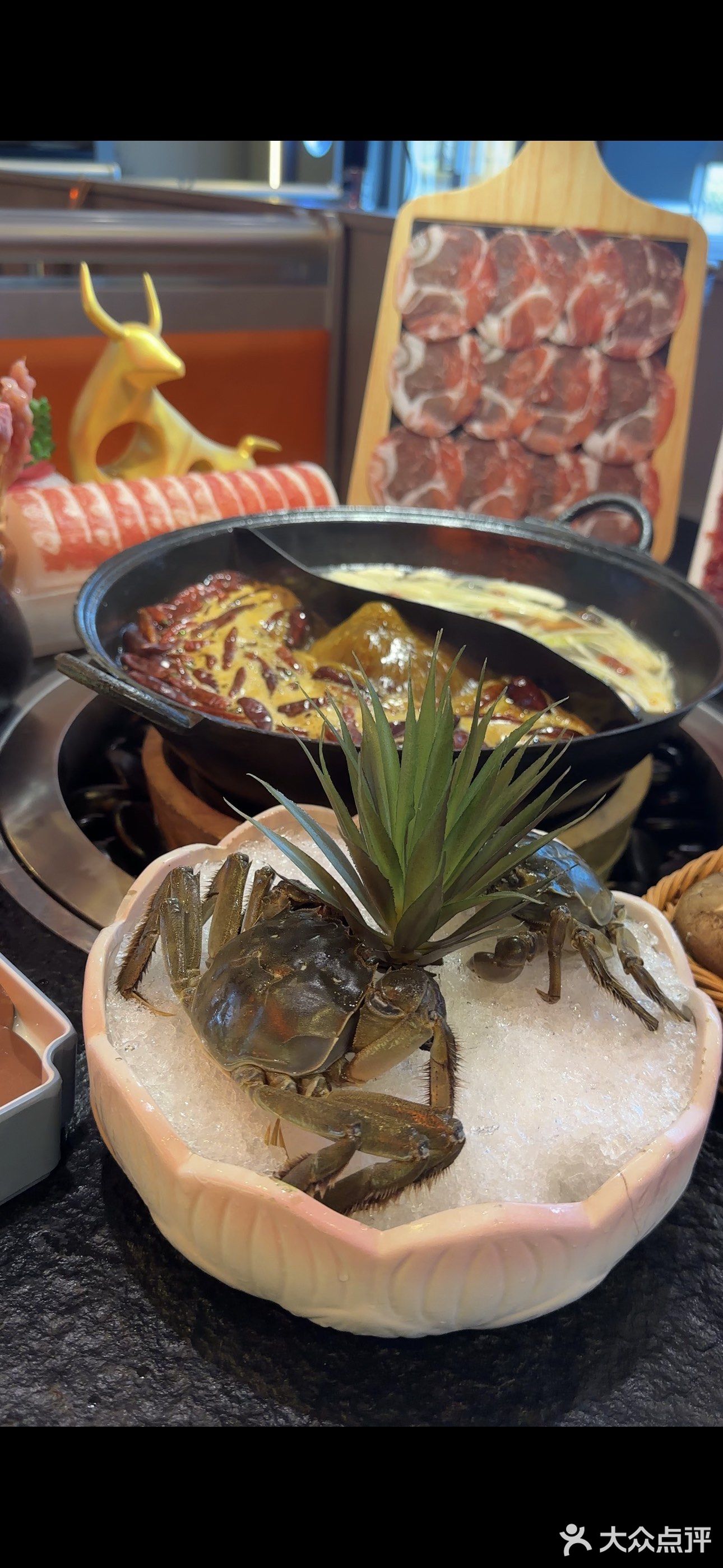 蘑菇村鲜牛肉火锅