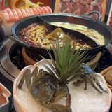 蘑菇村鲜牛肉火锅