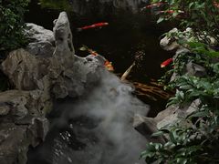 -鲤院·新中式美学·庭院餐厅(夫子庙店)