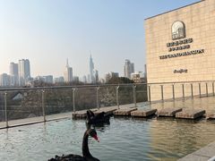 -行者书屋大堂吧 ·下午茶(南京圣和府邸酒店)