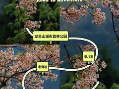 -舒家湾天主教堂