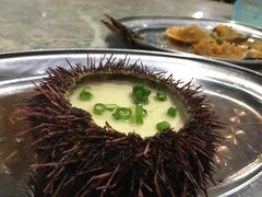 海胆蒸蛋-亚龙湾8号(丁村万人海鲜广场店)