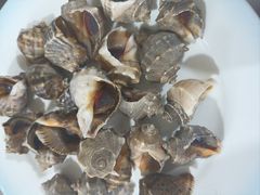 -宾朋海鲜饭庄(兴海路店)