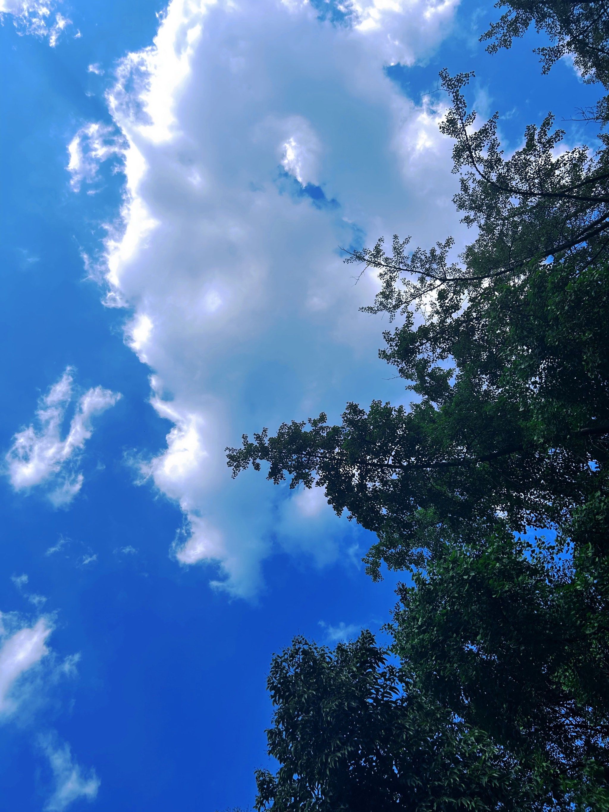 傍晚夕阳和蓝天白云