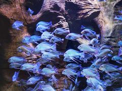 -成都浩海立方海洋公园