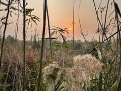 -大兴滨河森林公园